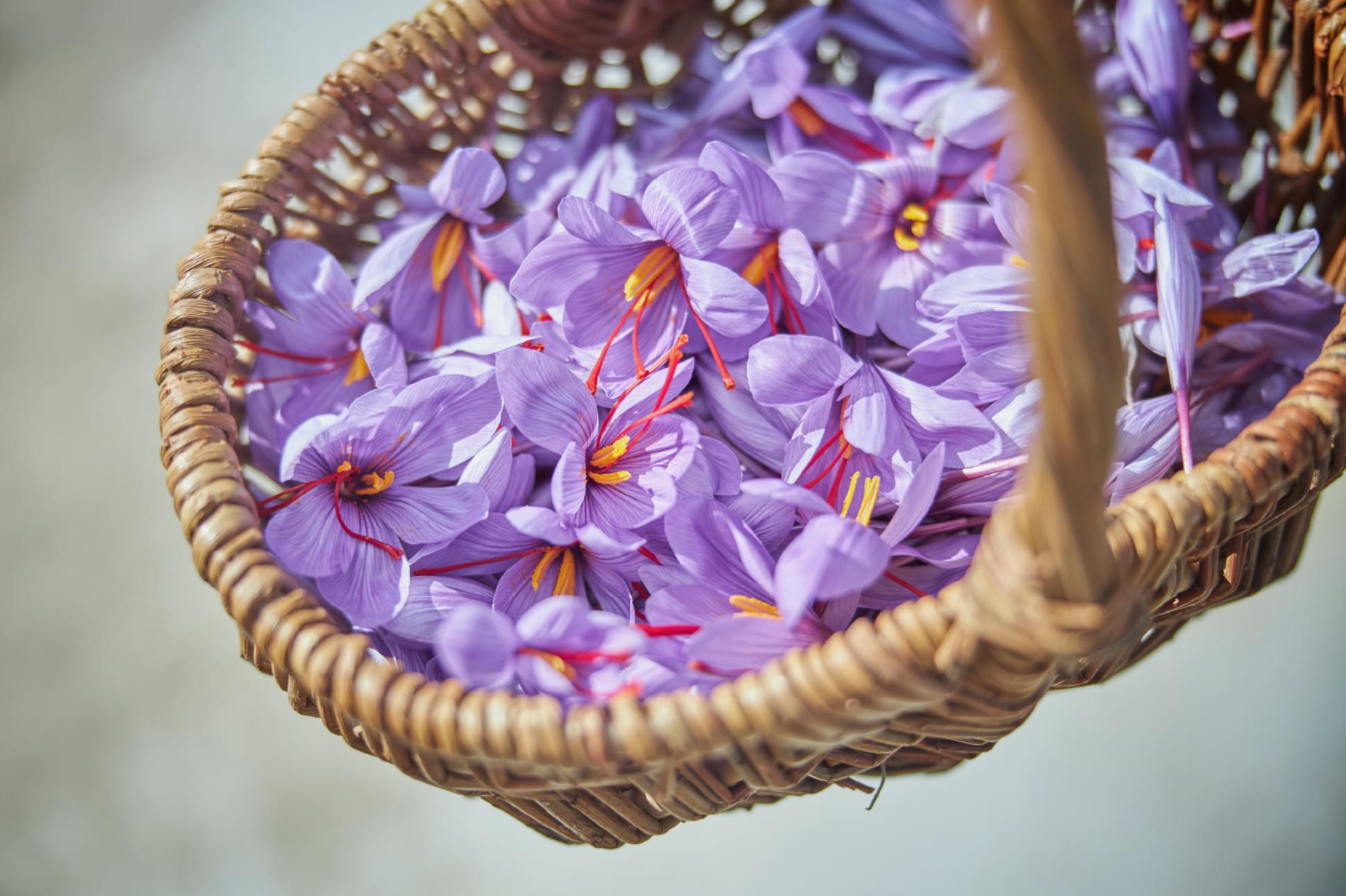 暮らしにサフランを。